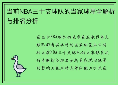 当前NBA三十支球队的当家球星全解析与排名分析