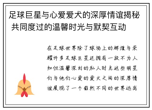 足球巨星与心爱爱犬的深厚情谊揭秘 共同度过的温馨时光与默契互动